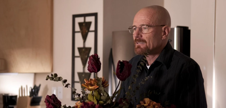 Кадры Во все тяжкие 3 сезон 7 эпизод