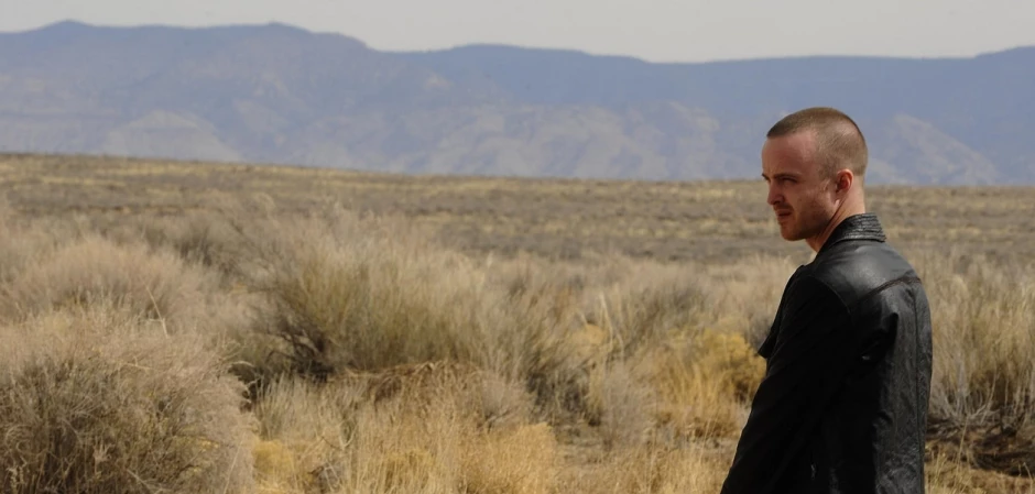 Кадры Во все тяжкие 4 сезон 5 эпизод