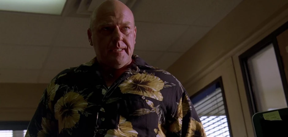 Кадры Во все тяжкие 3 сезон 4 эпизод