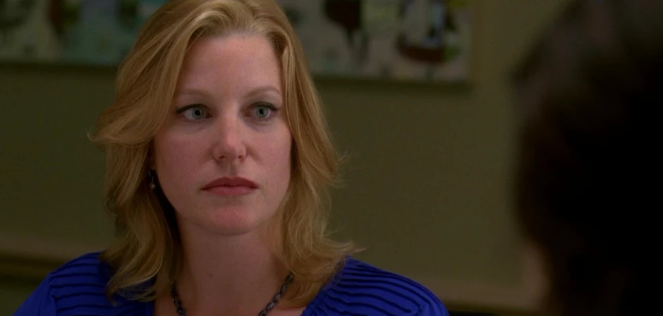 Кадры Во все тяжкие 3 сезон 1 эпизод