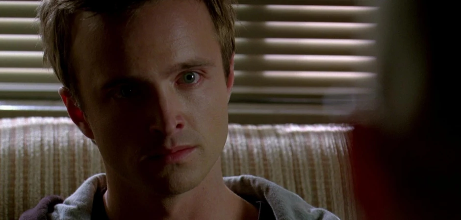 Кадры Во все тяжкие 3 сезон 1 эпизод