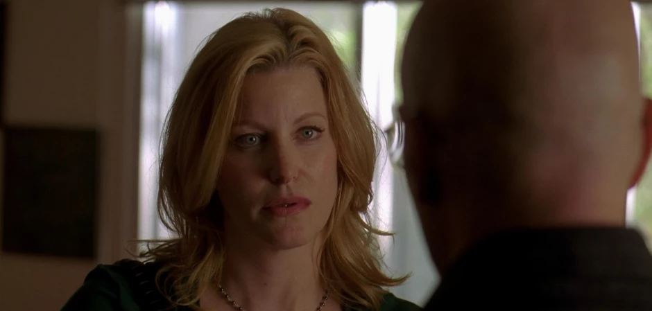 Кадры Во все тяжкие 3 сезон 7 эпизод