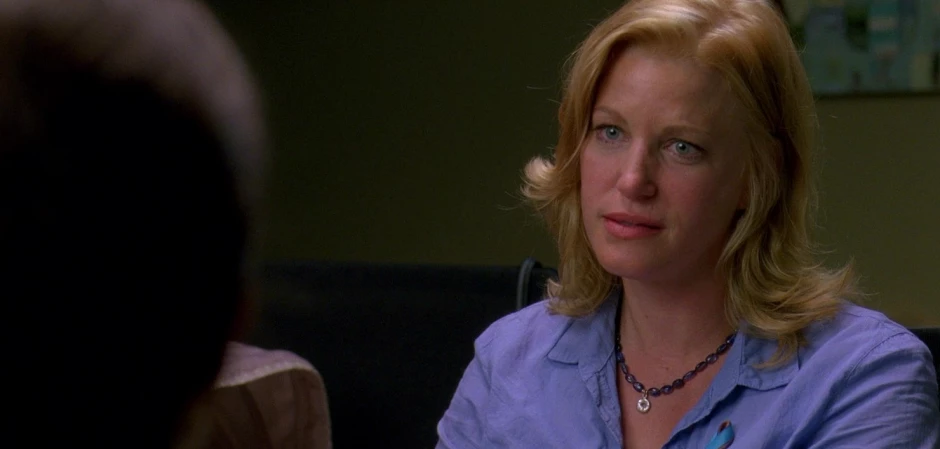 Кадры Во все тяжкие 3 сезон 3 эпизод