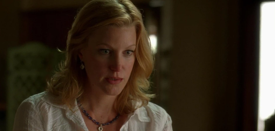 Кадры Во все тяжкие 3 сезон 3 эпизод